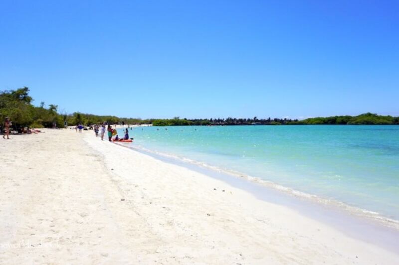 Tortuga Bay, Galápagos