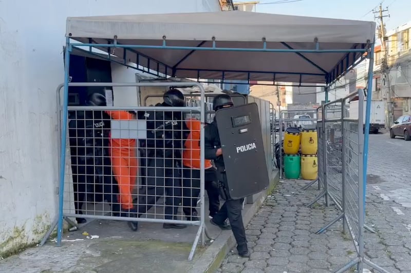 Usaban un pitbull para asaltar buses en Quito: cae fracción de “Los Lobos” que causaba zozobra en la Av. Simón Bolívar