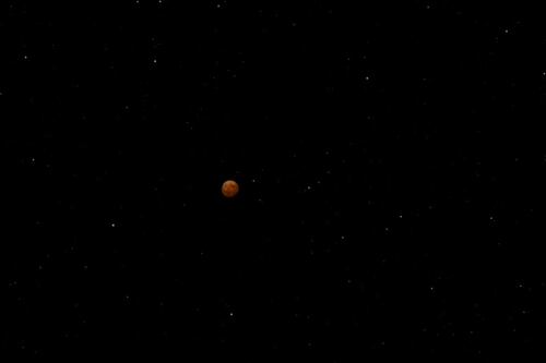 ¿Cuándo y dónde ver el eclipse lunar total de marzo de 2025?