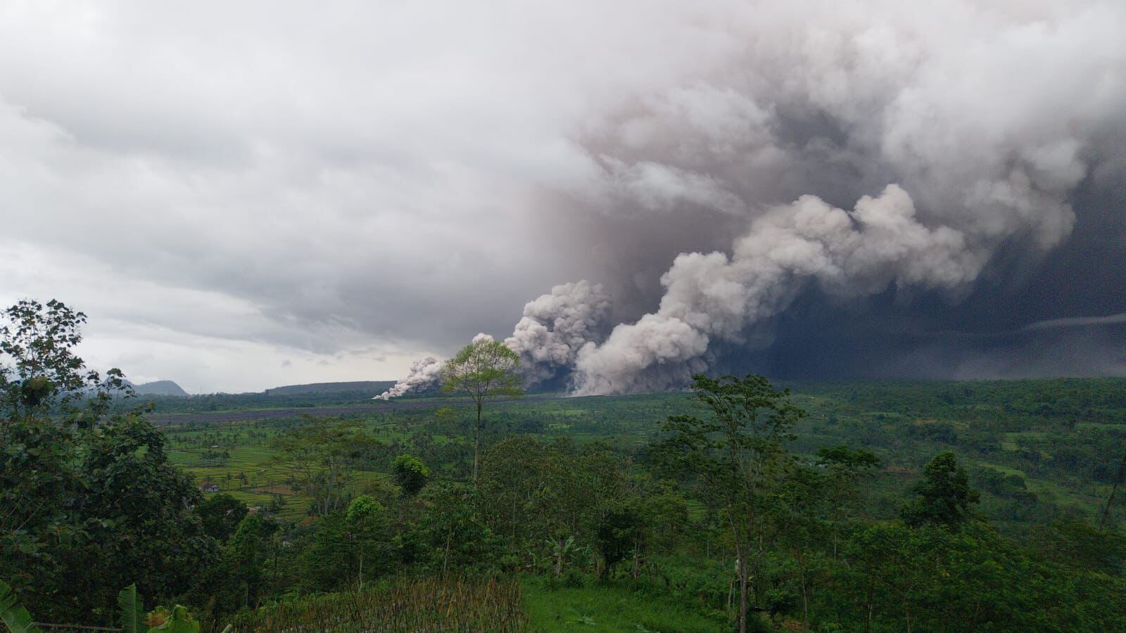 Erupción del Semeru cubre la zona con una densa nube de ceniza volcánica.