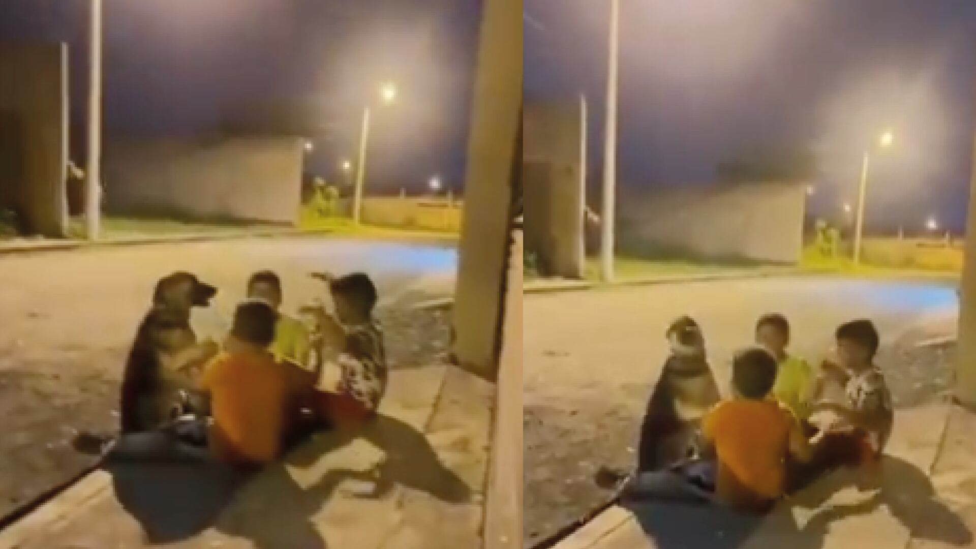 ¡Tierno! Un grupo de niños incorporan a un perrito callejero en sus juegos y se vuelven virales
