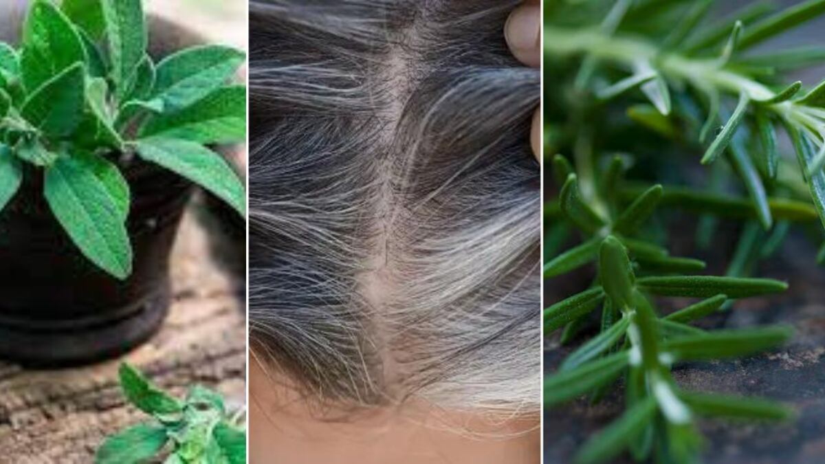 El poderoso remedio casero que elimina las canas en apenas 3 días