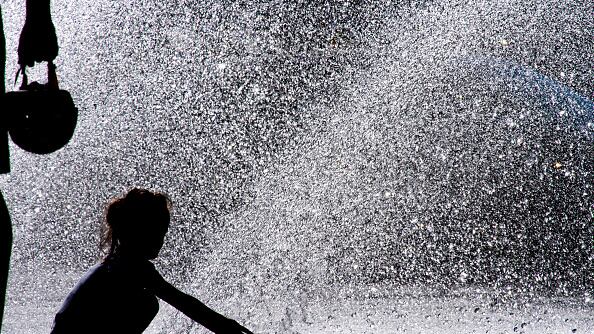 Madrastra obligaba a su hijastro a recoger excrementos con la mano