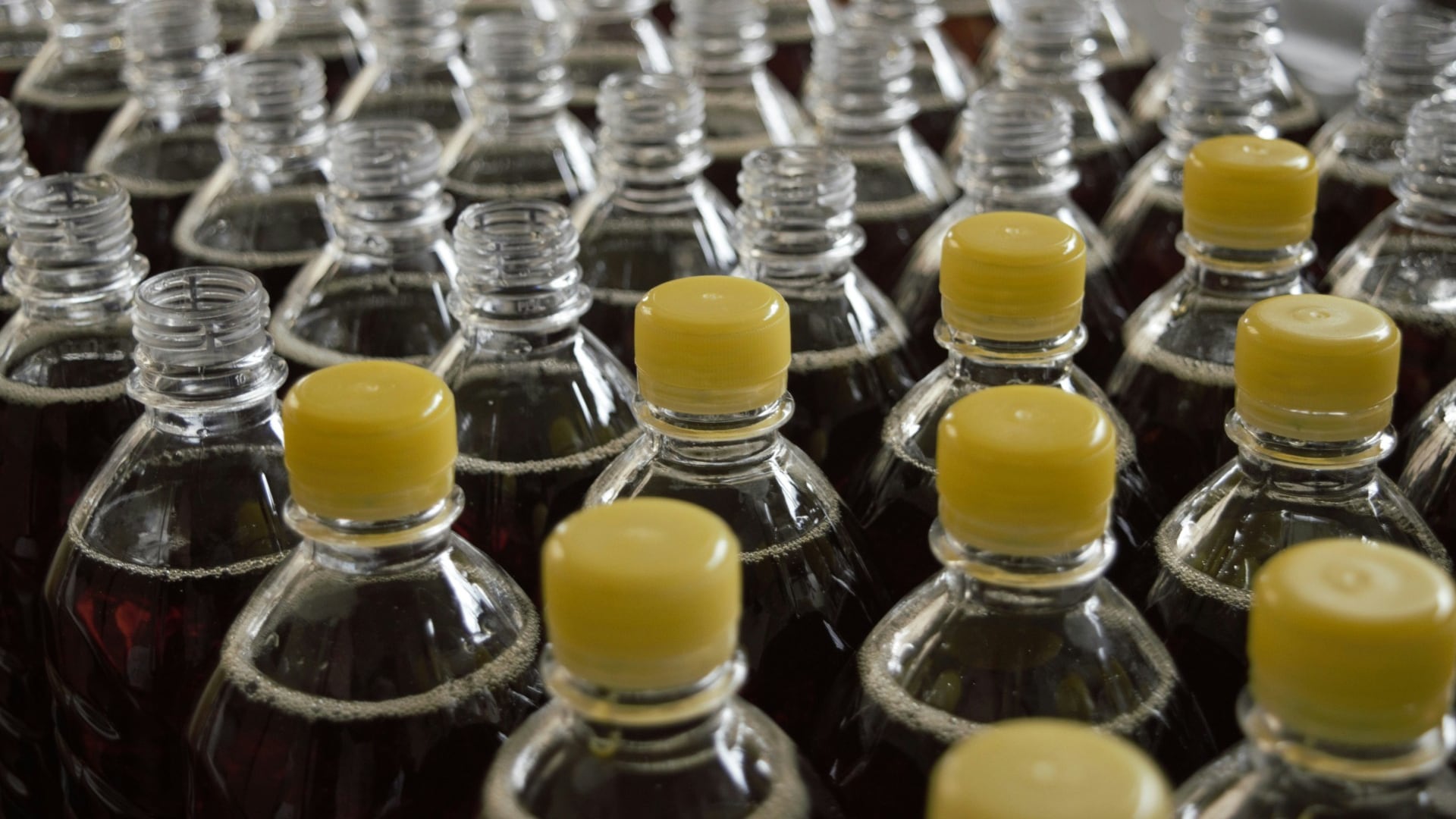 La Alianza Latinoamericana de Asociaciones de la Industria de Alimentos y Bebidas reafirma su compromiso con la protección de la salud de los consumidores, guiados por la evidencia científica objetiva. Foto: cortesía.
