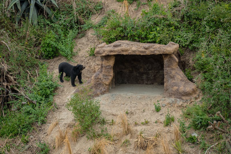 Oseznas en WIWA