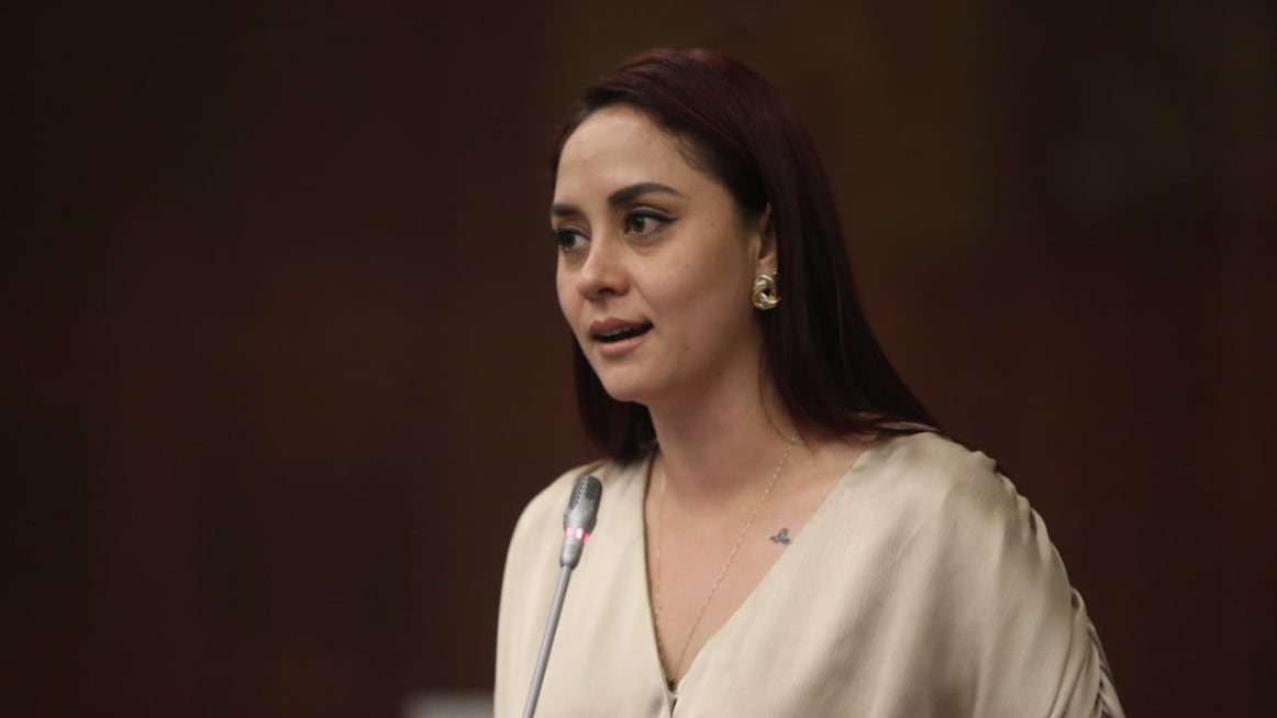 Ana Belén Tapia, asambleísta de ADN, presentó la moción contra Mario Godoy