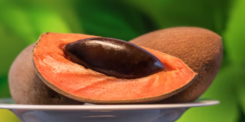 Hueso de mamey