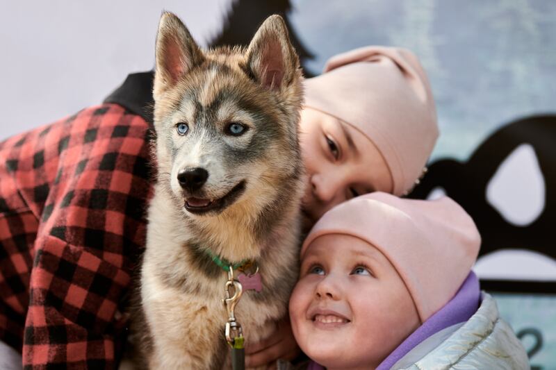 Niños con perros
