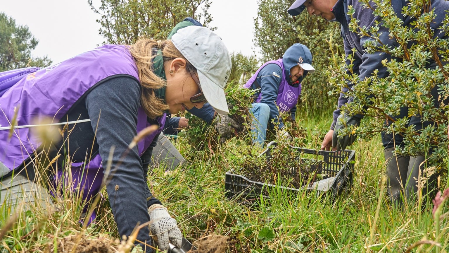 Corporación Favorita ha sembrado cerca de 200.000 plantas nativas en zonas estratégicas de protección hídrica