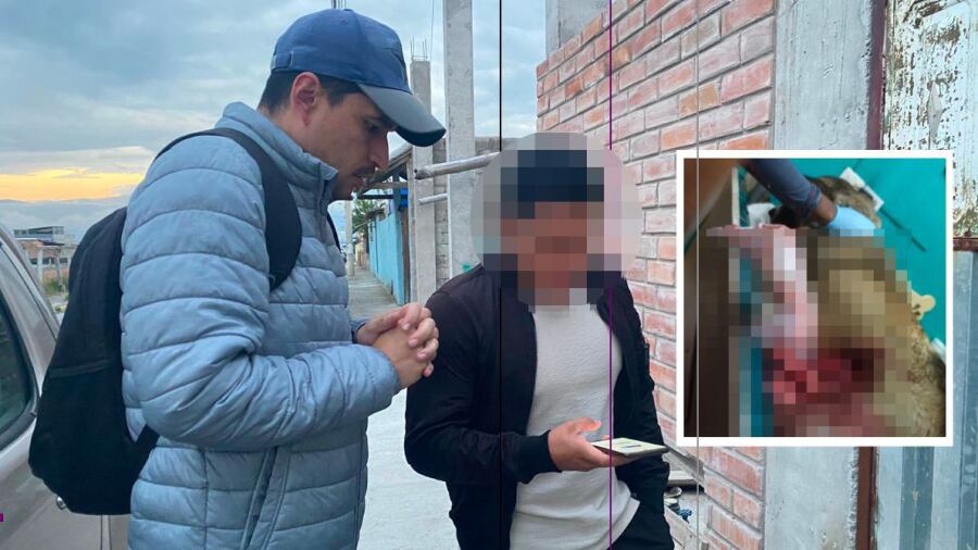 Ciudadano apuñaló a una perrita en el norte de Quito