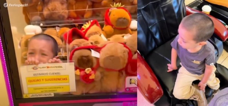 Máquina de peluches