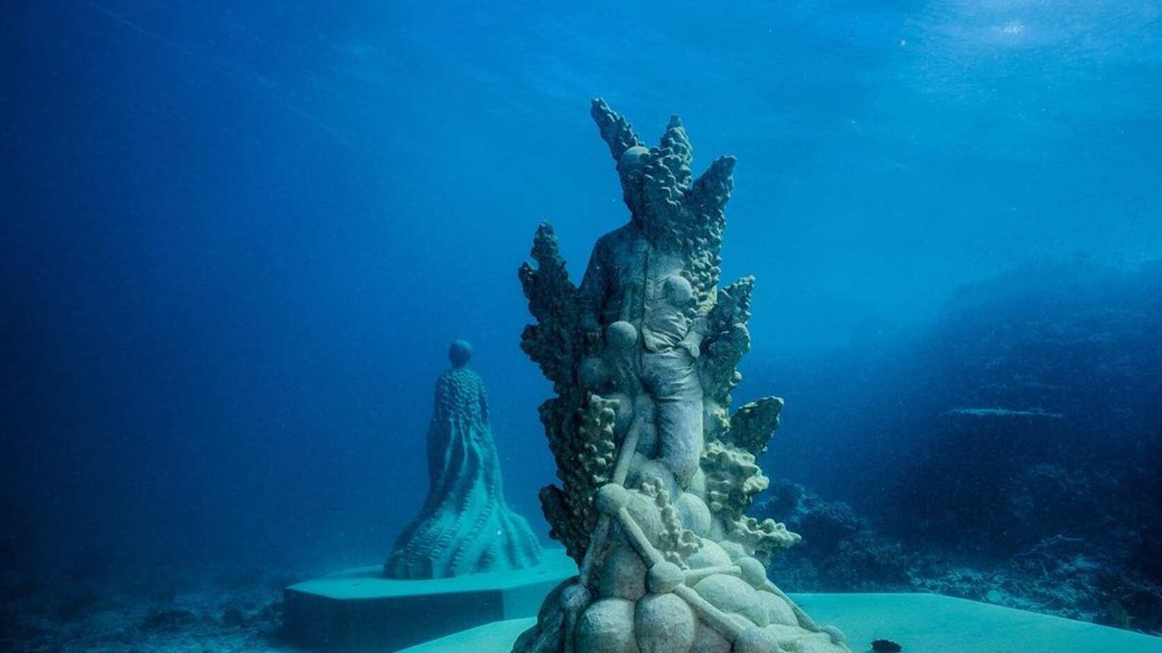 Centinelas del Océano