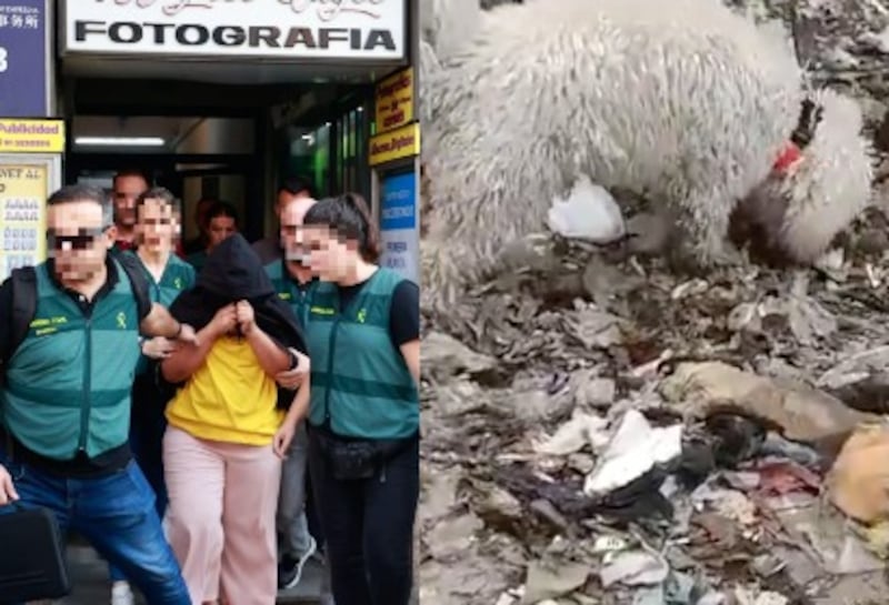 Ecuatoriana asesinó a su bebé en España