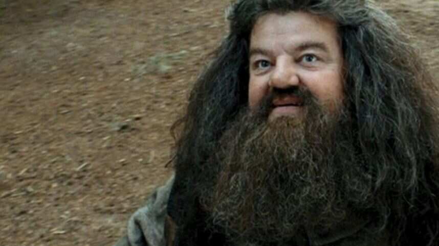 Hagrid (película) Foto: Warner Bros