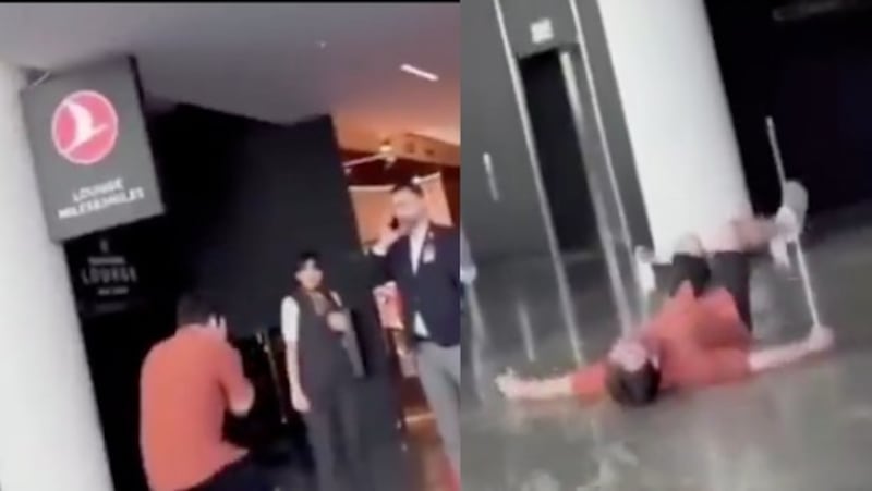 Perros perdidos en aeropuerto