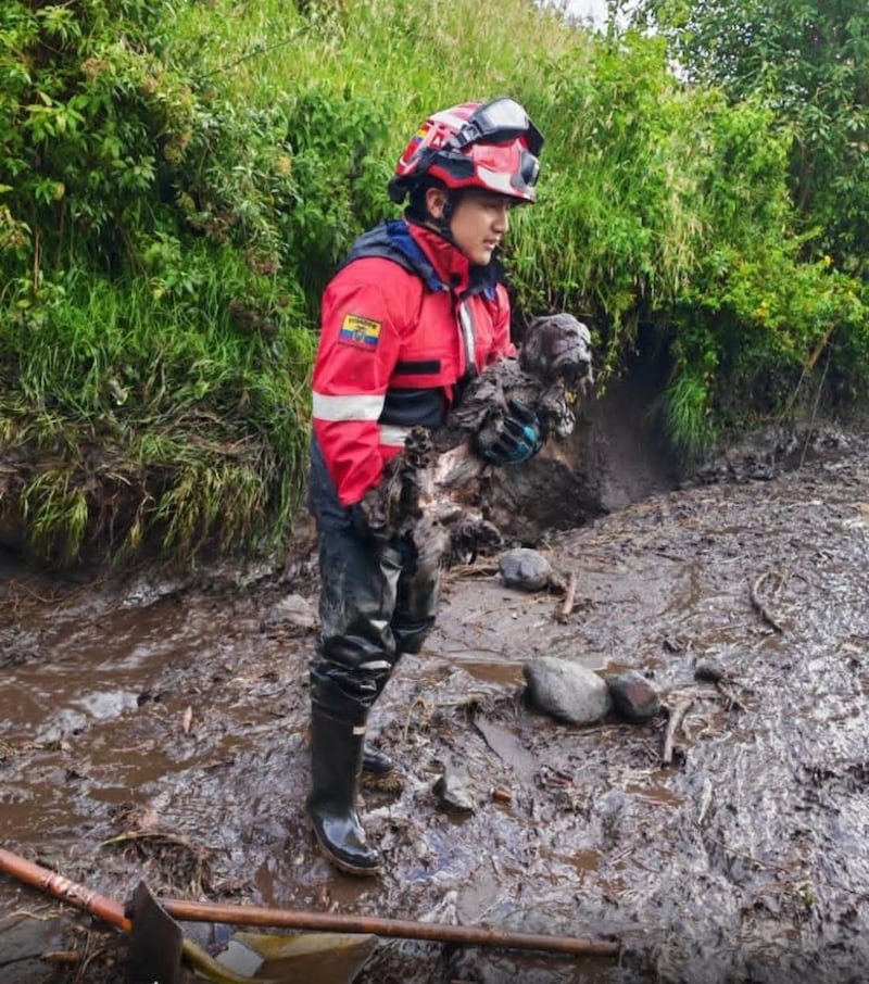 Aluvión en Aloasí deja vehículos atrapados y vías cubiertas de lodo en Mejía