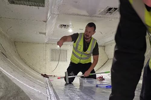 ¡Insólito! Una serpiente fue encontrada en un avión con pasajeros a bordo en Australia