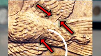 La moneda de un dólar que puede costar miles