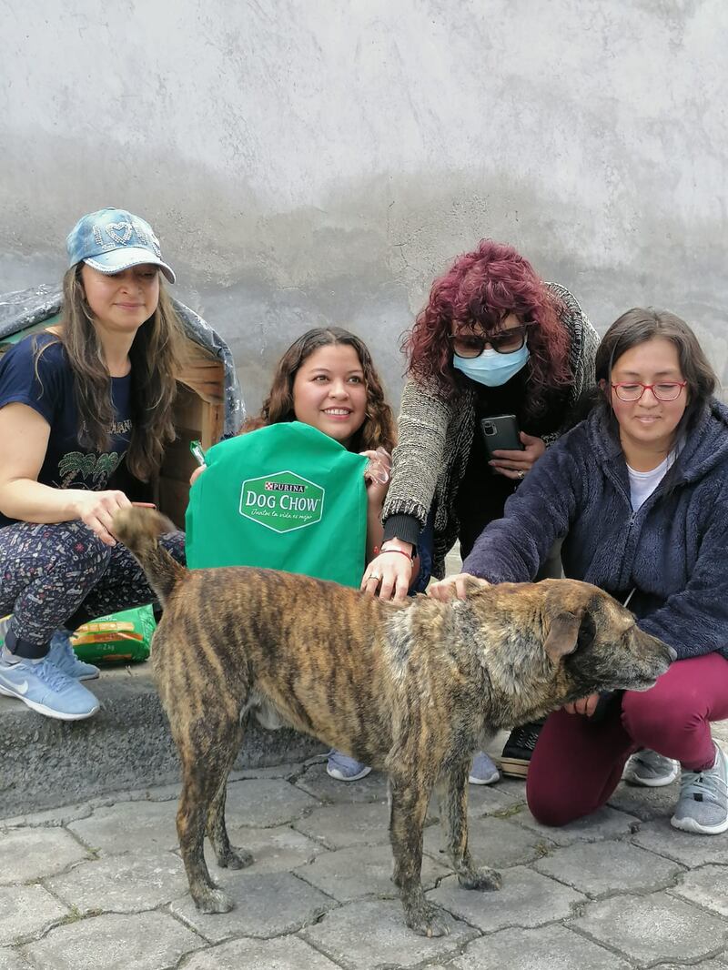 Manchas feliz con su donación de Dog Chow de Nestlé