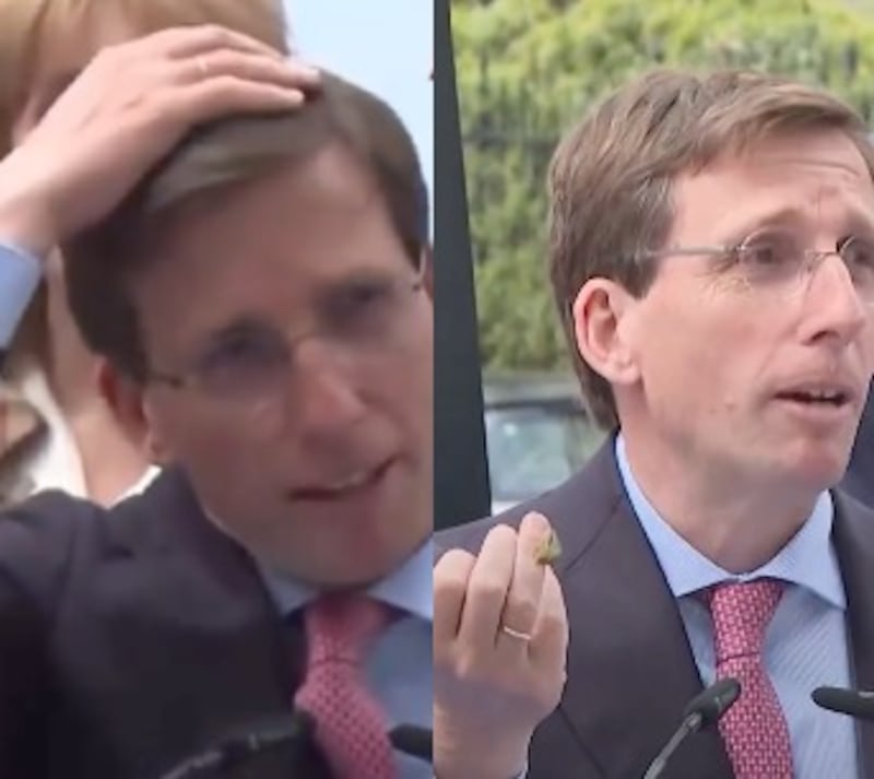 Una paloma defecó sobre la cabeza del alcalde de Madrid