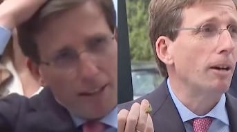 Una paloma defecó sobre la cabeza del alcalde de Madrid