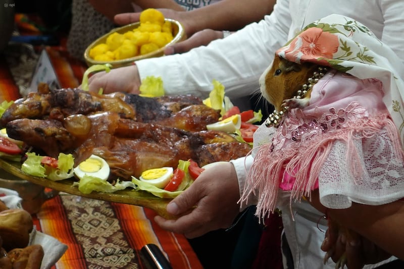 Platos típicos cuencanos que destacan en las Fiestas de Cuenca.