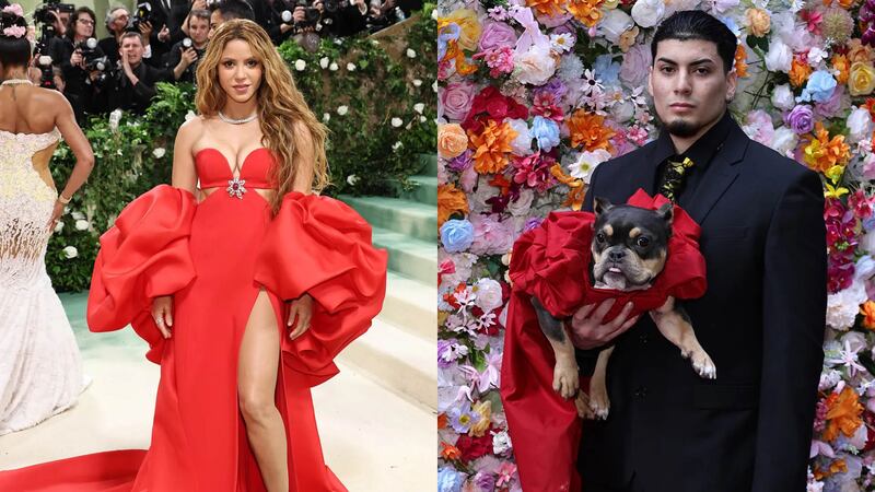 Pet Gala
