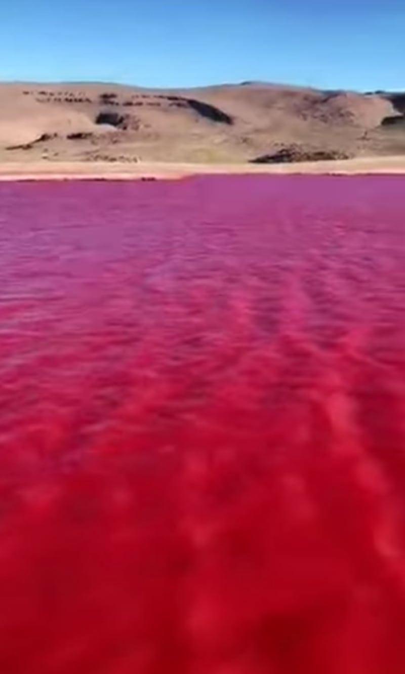 El río Nilo se pinto de rojo
