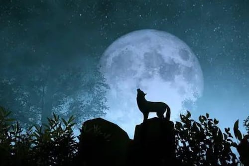 La Luna Llena de Lobo sorprenderá con su brillo: Cuándo es y por qué la llaman así