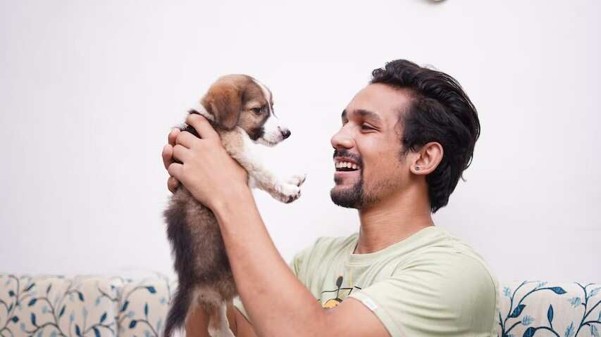 Los perros son de las mascotas más adorables