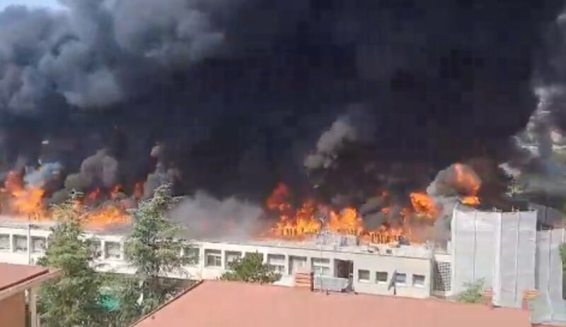 Incendio Universidad Tuscia