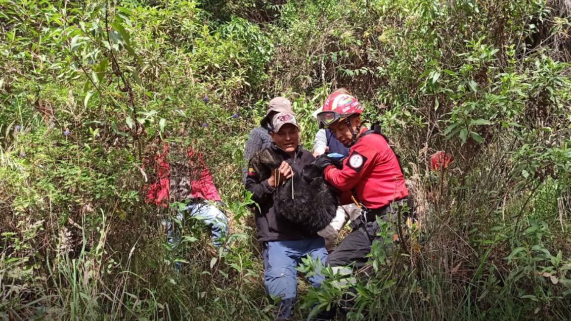 Las labores duraron siete horas