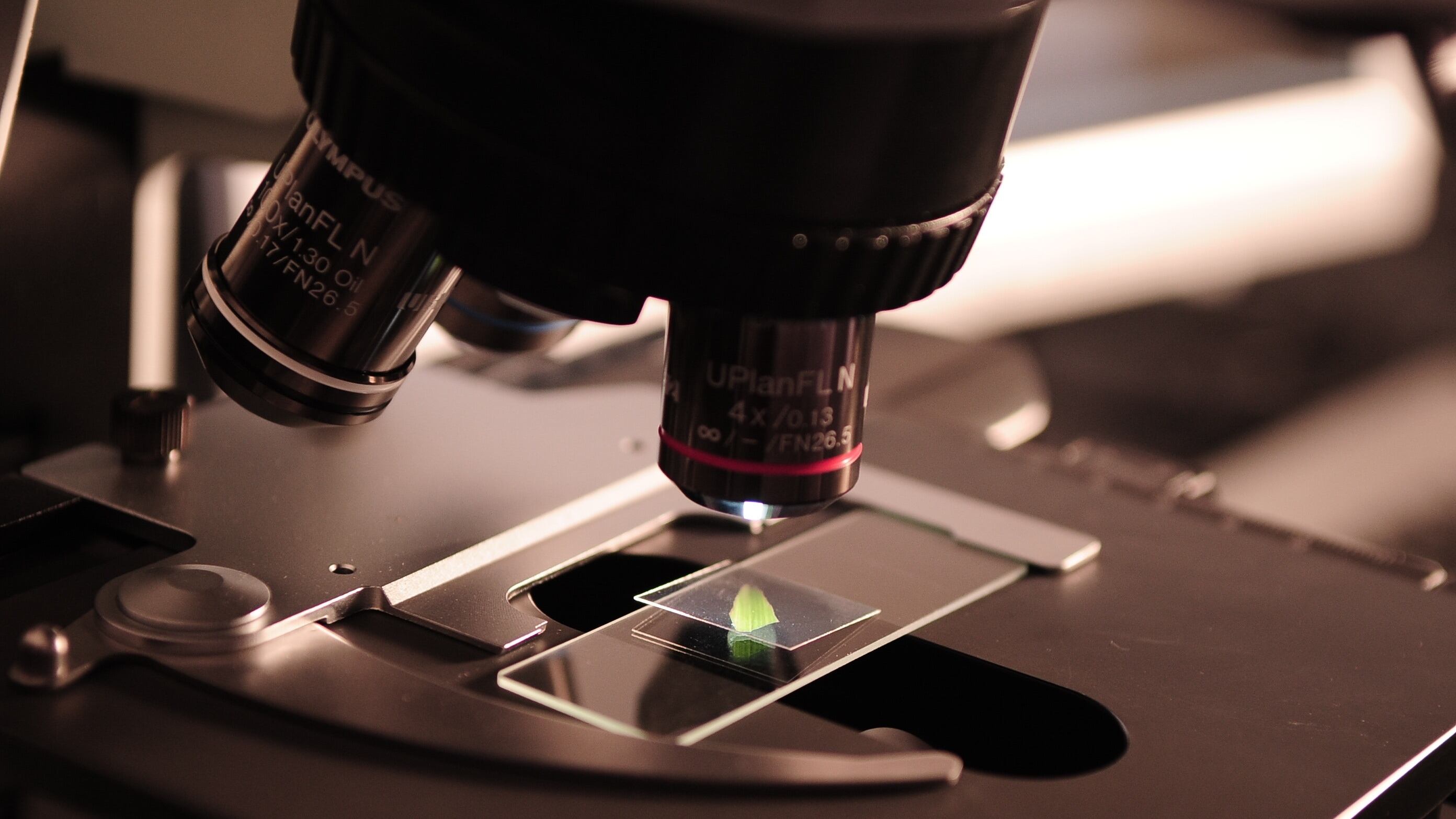 La verdad sobre la nicotina