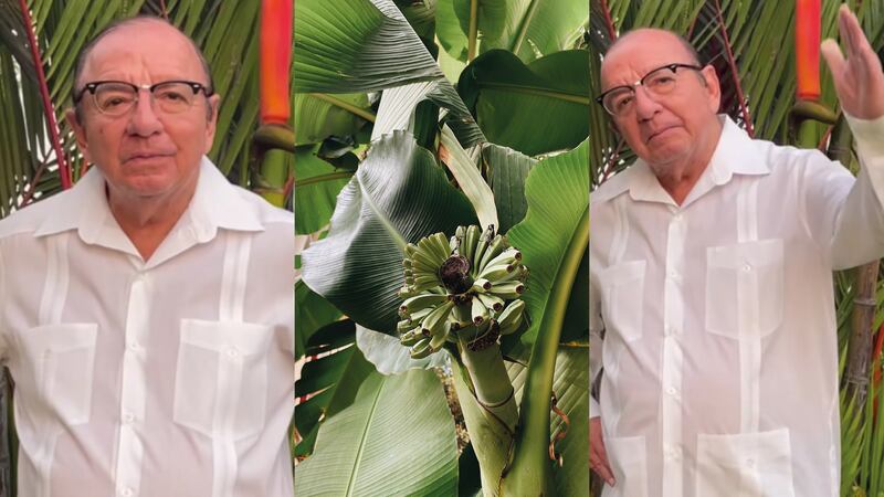 Álvaro Noboa
