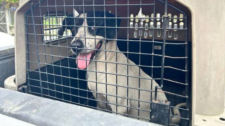 Municipio de Guayaquil