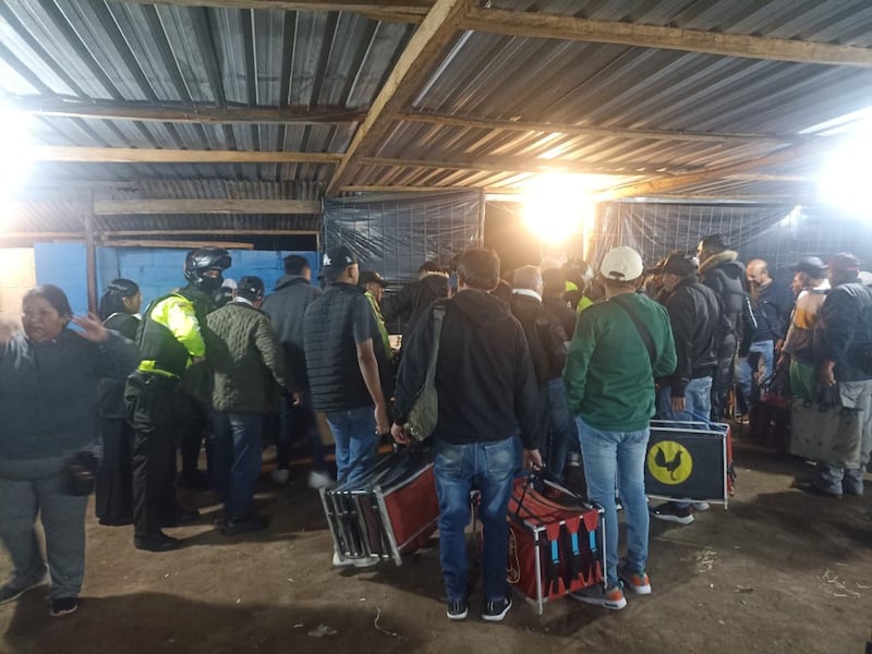Clausuran gallera clandestina en Checa y duplica los controles en Quito. Imagen: AMC