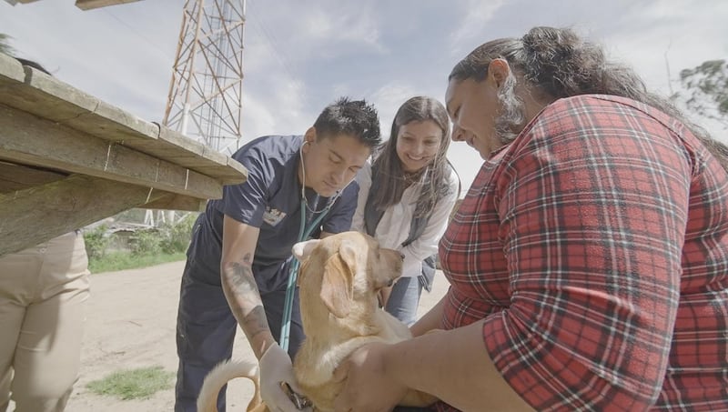 CENMA asistió a Hachi y perritos de la comunidad Santa Rosa en el cerro Puñay, Chimborazo