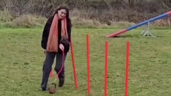 Hobby Dogging, la práctica viral nacida en Alemania.