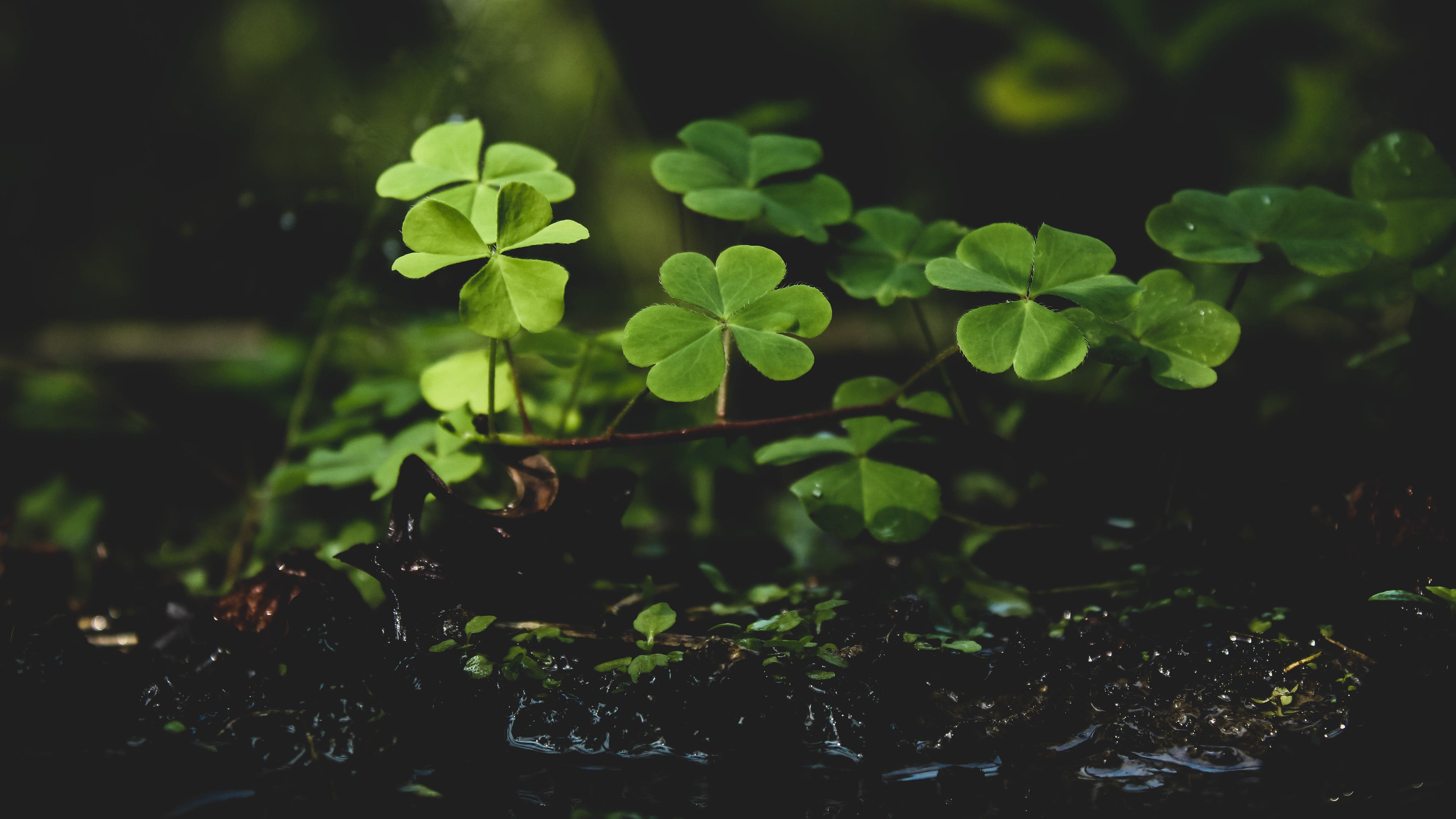 Imagen referencial de la mala suerte