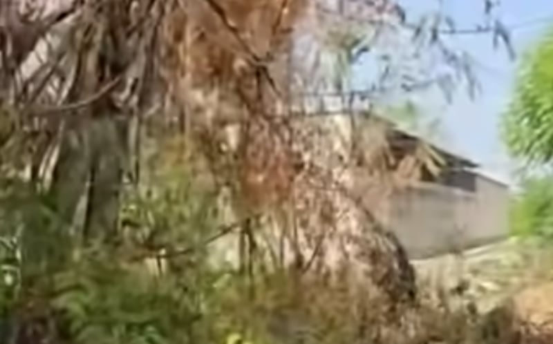 Descubrió a su pareja siéndole infiel en un monte con su mejor amigo