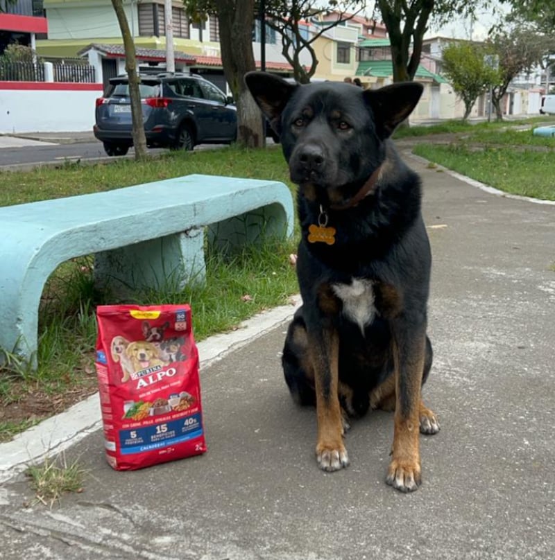 Coqui, héroe y vigilante del Parque Infantil Dammer 2