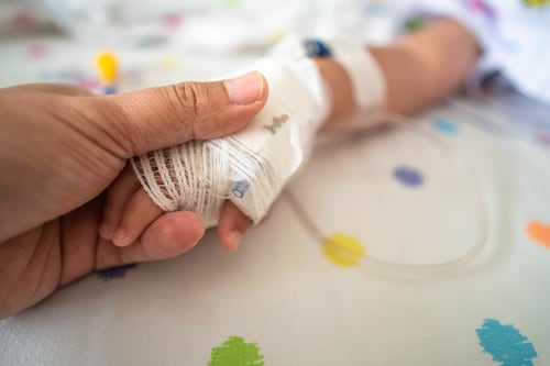 Niño de tres años fue atacado por perros dentro de su vivienda en Quito: su padre denuncia abandono y falta de control