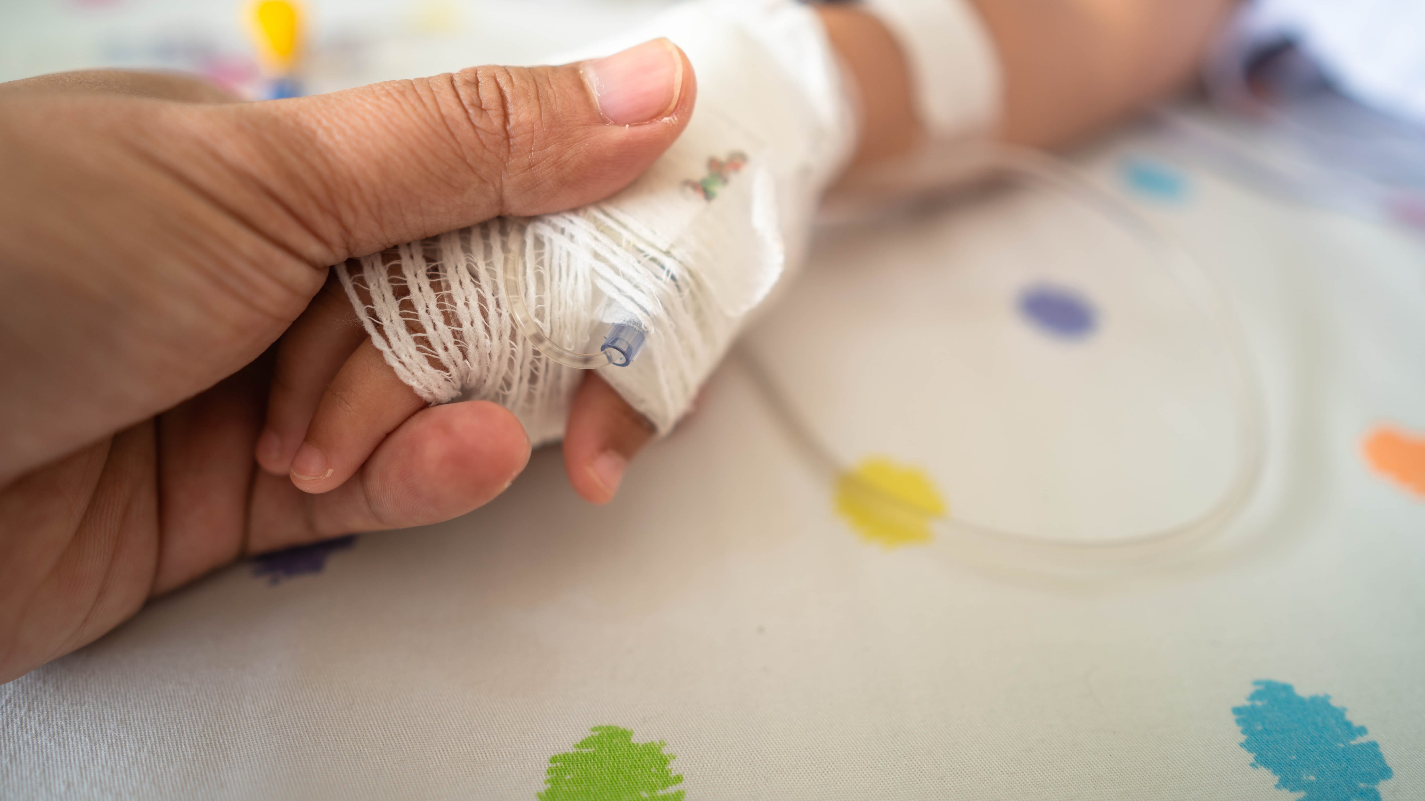 Niño de tres años fue atacado por perros dentro de su vivienda en Quito: su padre denuncia abandono y falta de control