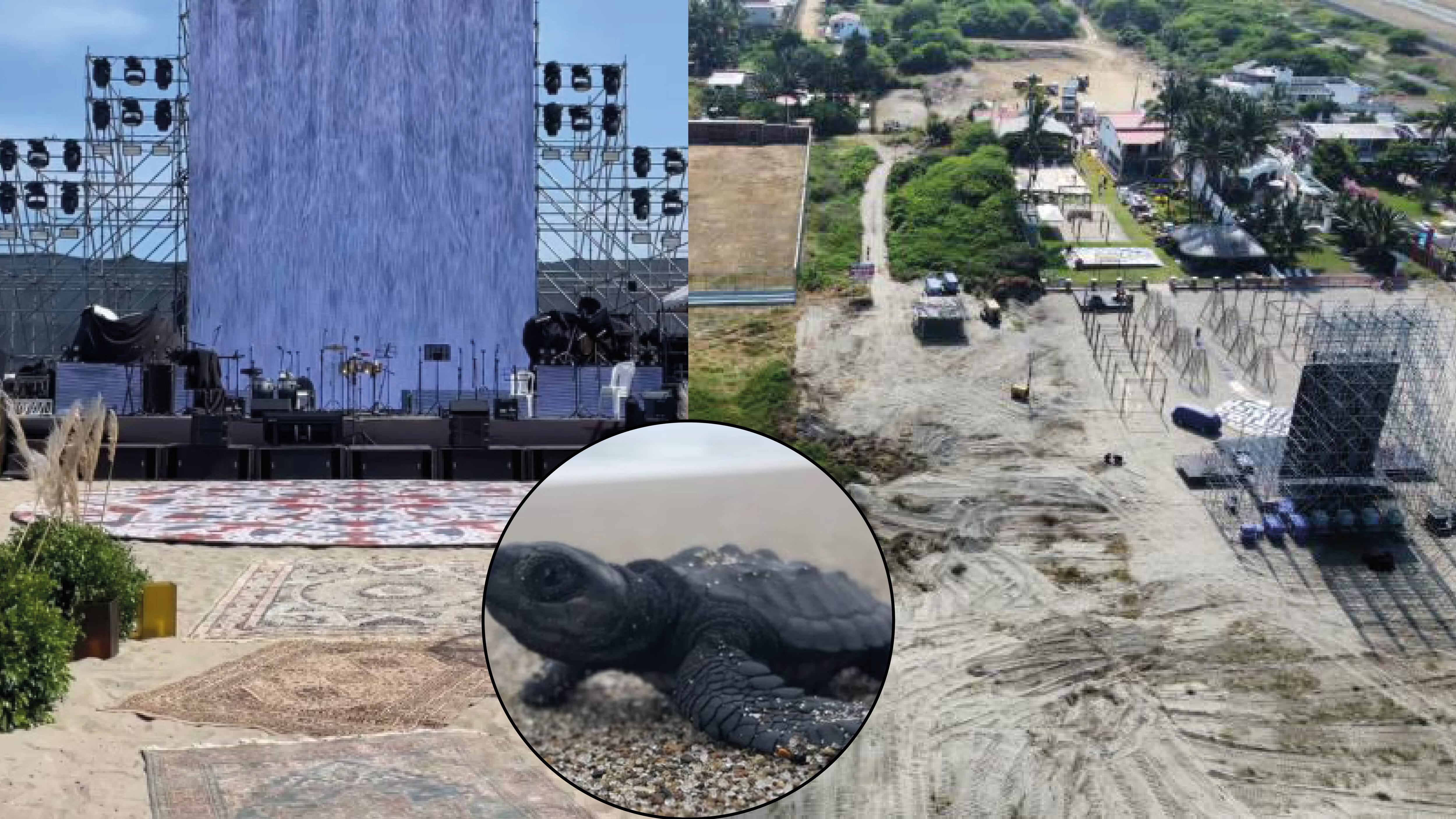 ¡Hicieron un evento masivo en hábitat de tortugas en Playas Villamil! Ministerio de Ambiente anuncia sanciones