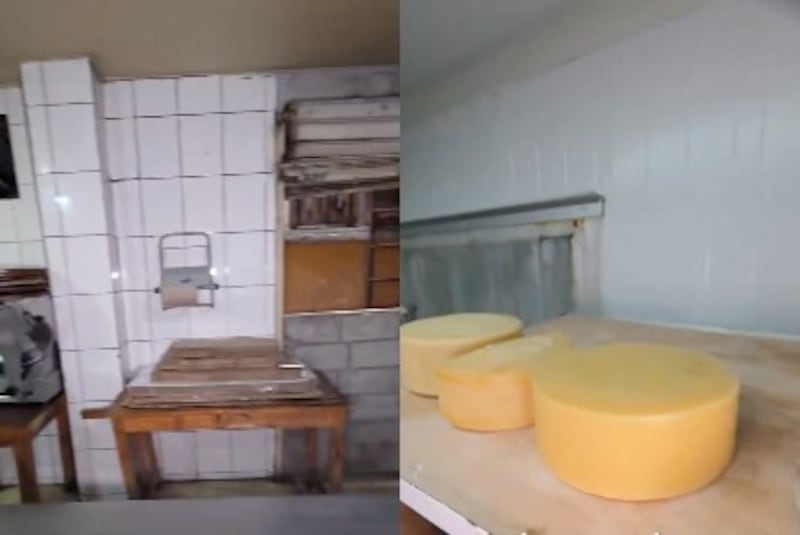 Presencia de ratas, cucarachas y suciedad motivó la clausura de una pizzería en el norte de Guayaquil por parte de Arcsa.