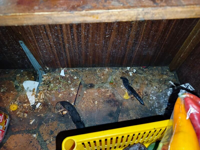 Insalubridad en restaurante ubicado en Turi, Cuenca
