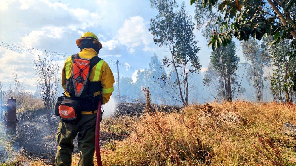 Estudiantes asfixiados