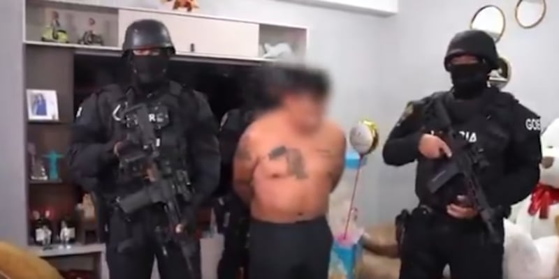 Capturan a cabecilla de los lobos