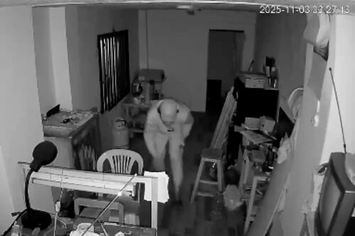 Delincuente rompió pared para robar joyería en el Centro Histórico de Cuenca