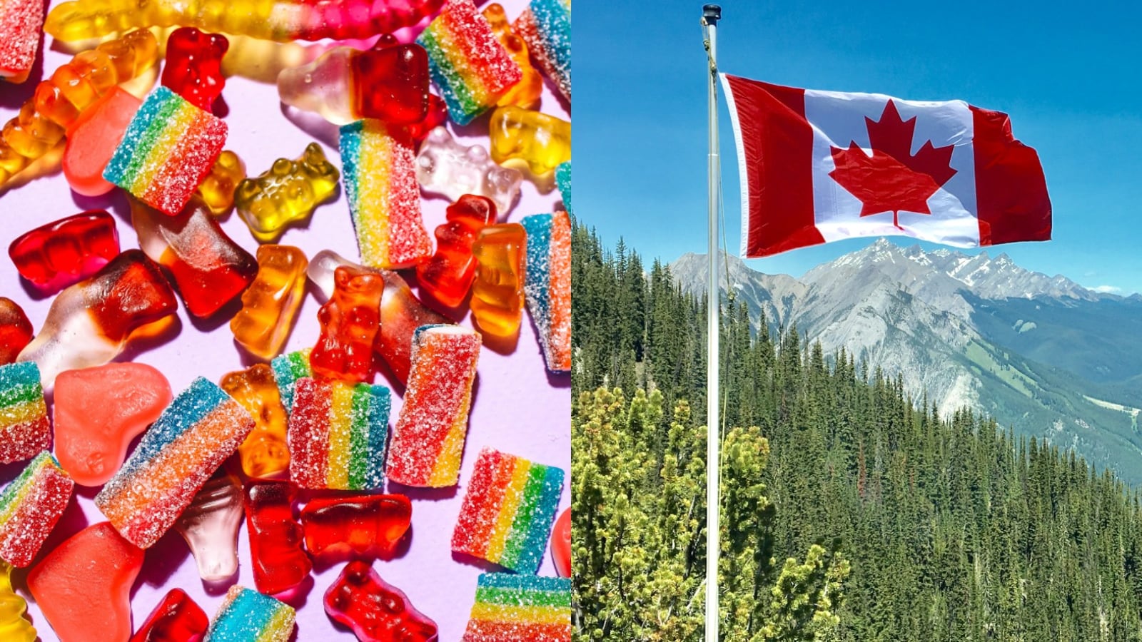 Una empresa canadiense paga 78 mil dólares al año por comer dulce